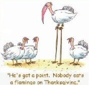 Thanksgiving flamingo cartoon