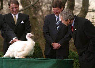 Turkey and President Bush