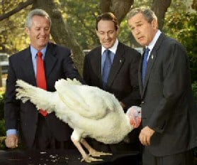 Turkey and George Bush