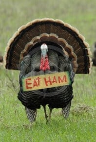 Turkey with eat ham sign