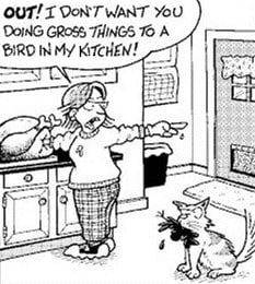 turkey gross kitchen cartoon