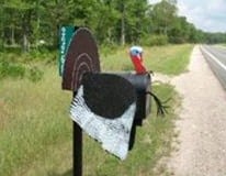 Turkey mail box