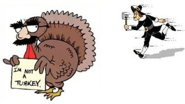 I am not a turkey cartoon