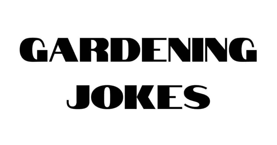 Gardening Jokes