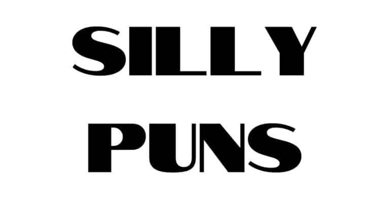 Silly Puns