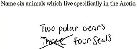 exam question 4