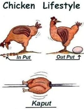 Chicken Kaput