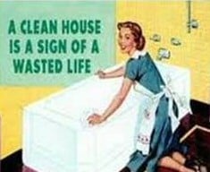 Clean house quote