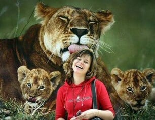 Lion licking womans head