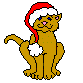 Christmas cat