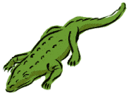 funny crocodile picture