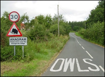 Funny Anagram Owls - Slow