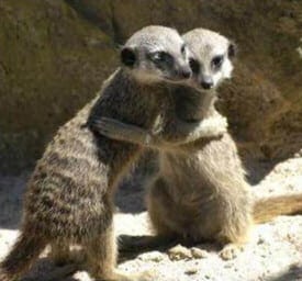 Give us a cuddle