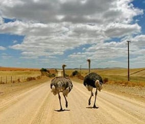 Where shall we go today?