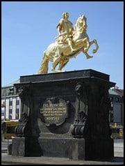 Interesting Facts Horses Legs