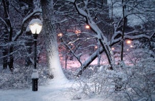 End of Autumn - Snow