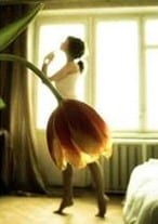 Flower Ballet Skirt