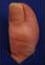 Big Toe - Useful for 911