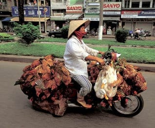 Ever seen so many chickens - on a bike?