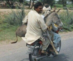 Bike Donkey