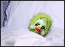 Bird flu humour. Will and Guy's jokes