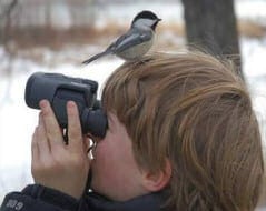 Where's the birdie?