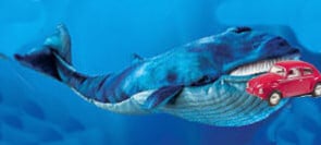 Interesting facts about whales
