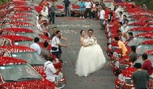 Bride and 99,999 roses