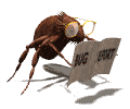 Quanatas bug report