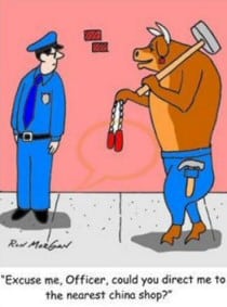 Bull in a China Shop