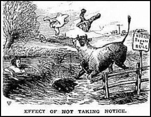 Bull Jokes - Farmer