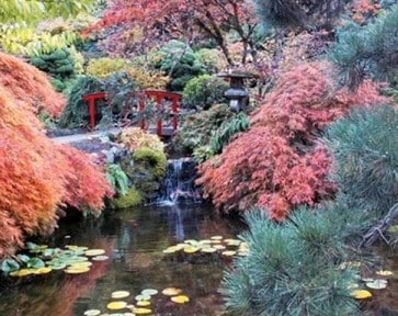 Burchard Gardens Water Feature