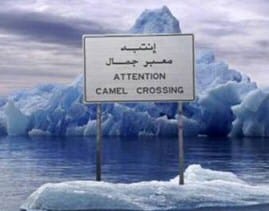 Polar bear global warming humour