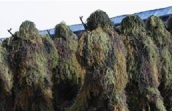 Camouflaged men