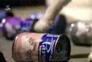 Cat and can of food