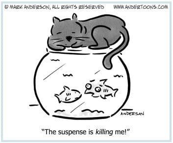 Cat and Goldfish Cartoons