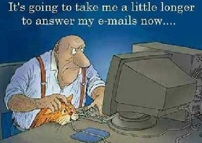 Cat and Mouse - Not a good combination
