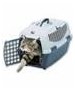 Cat Scan