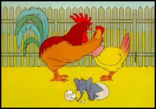 Will and Guy's humour - Which came first, the chicken or the egg?