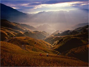 PowerPoint Presentation of Chinese fields