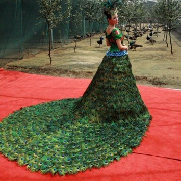 200 Meter wedding dress