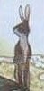 Chinese Year 2011 - Year of the Rabbit
