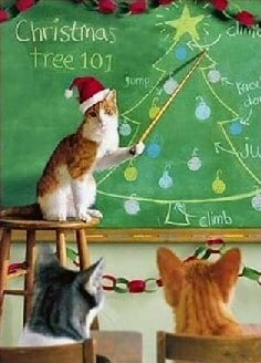 Christmas Cat