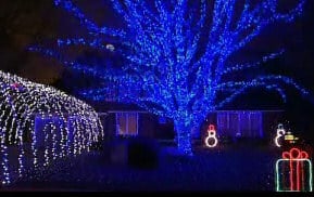 Christmas tree lights - outside