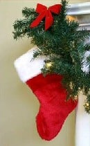 Christmas Tree Stories