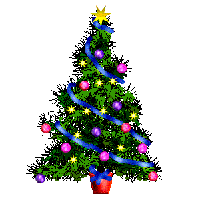 Silly Christmas Warnings