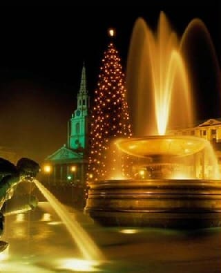 Christmas Tree Lights Paris