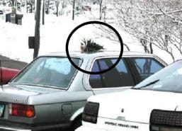 Scrooge Christmas Tree