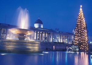 Christmas Trees Lights Around the World - Trafalgar Square