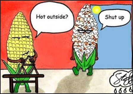 Corniest Joke